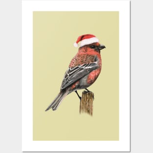 Pine Grosbeak Posters and Art